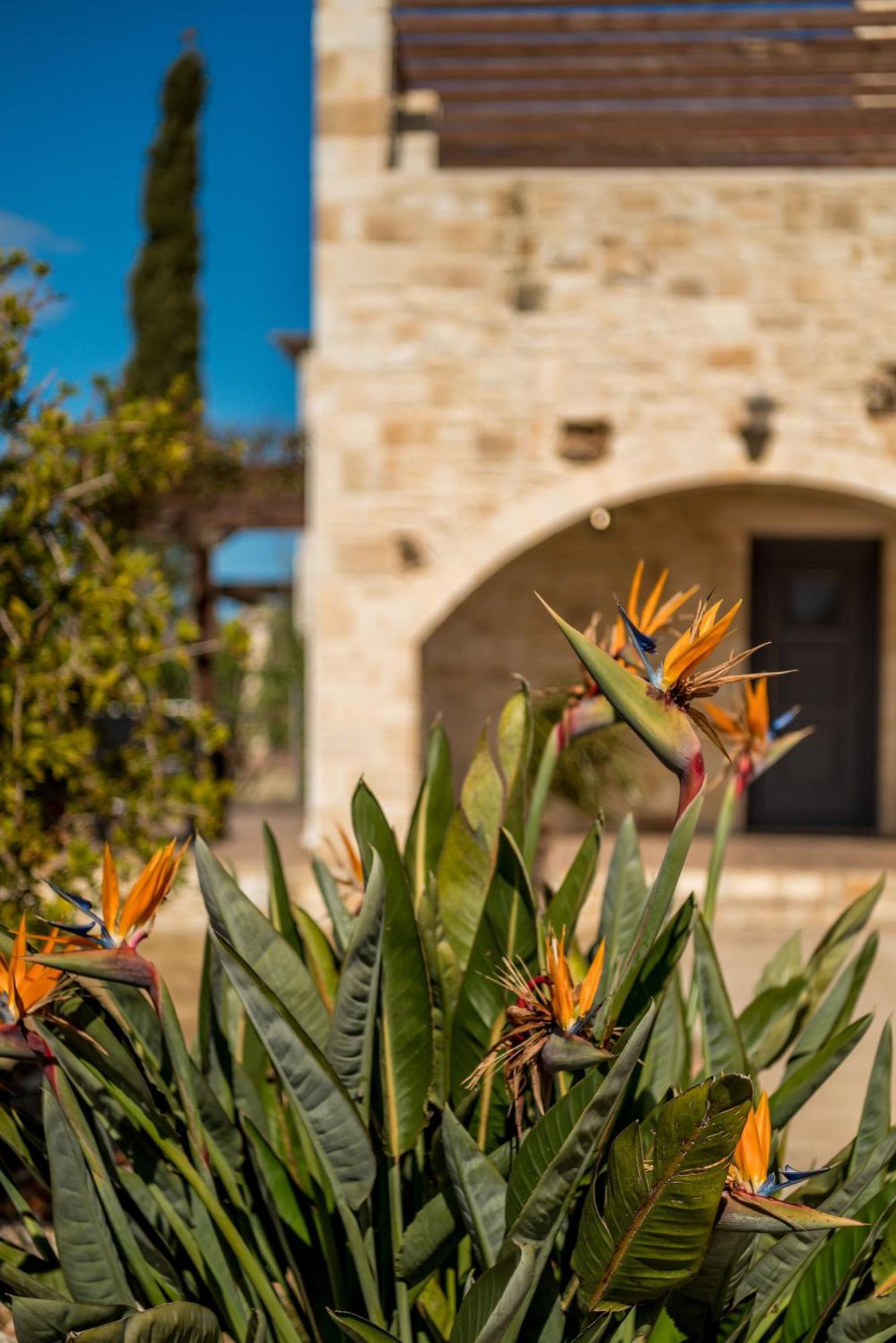 Kokkino Chorio Villa Gloria Seaview - Luxury & Family מראה חיצוני תמונה